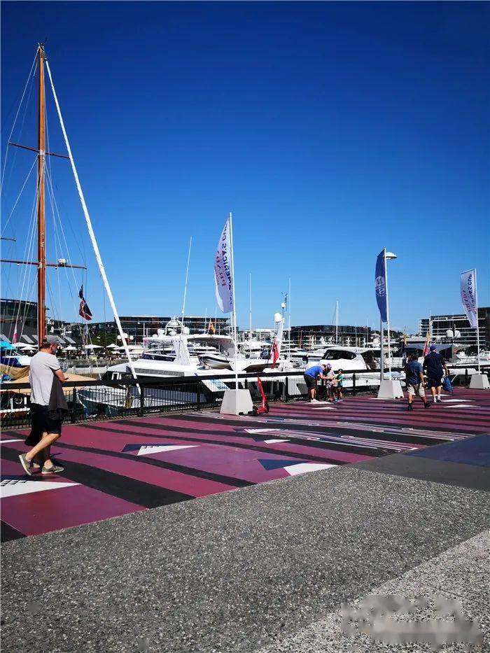 新西兰帆船选手获得冠军，成为焦点人物