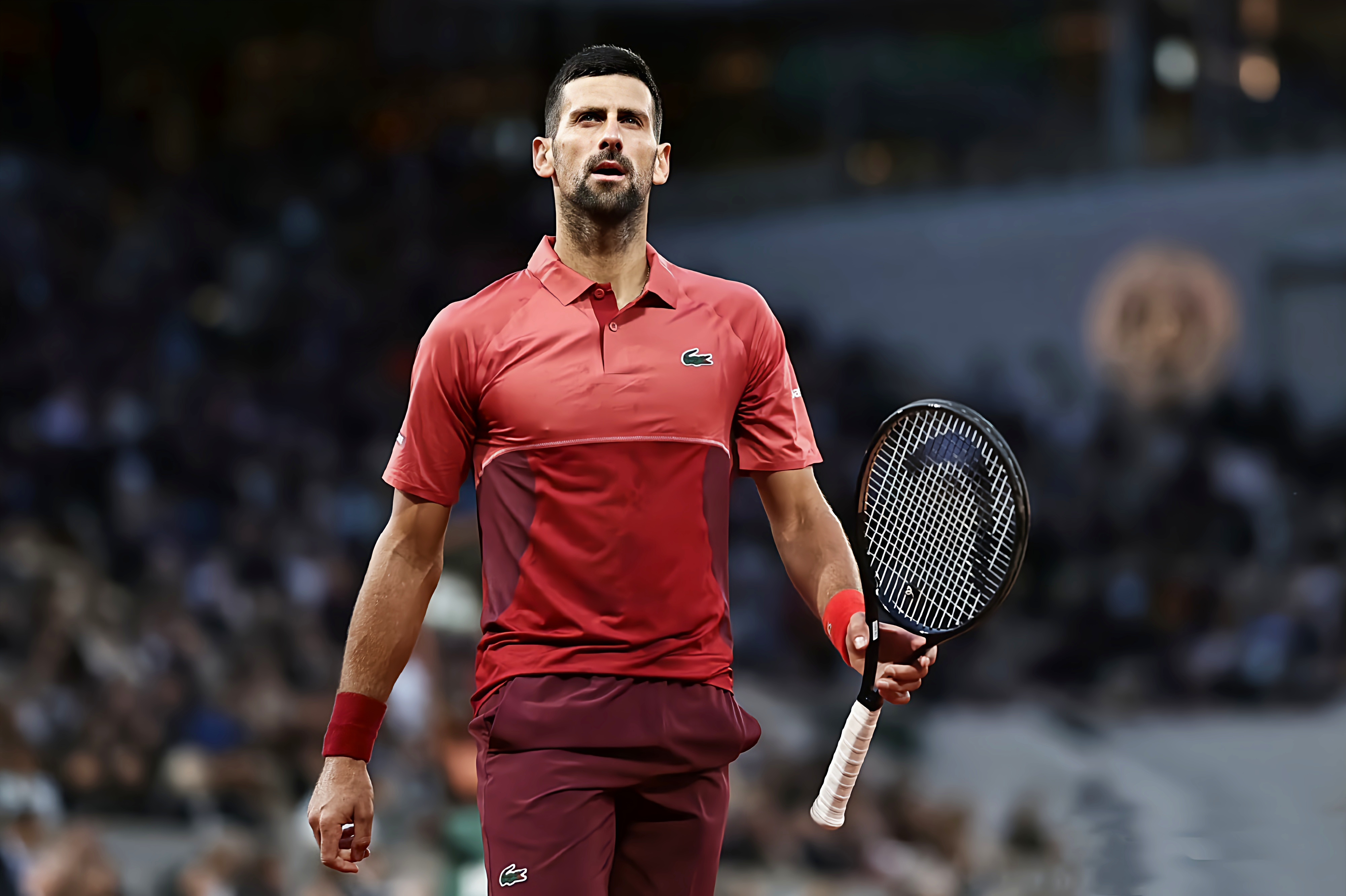 法网翻盘年终总决赛,德约科维奇关键制胜 法网翻盘年终总决赛,德约科维奇关键制胜