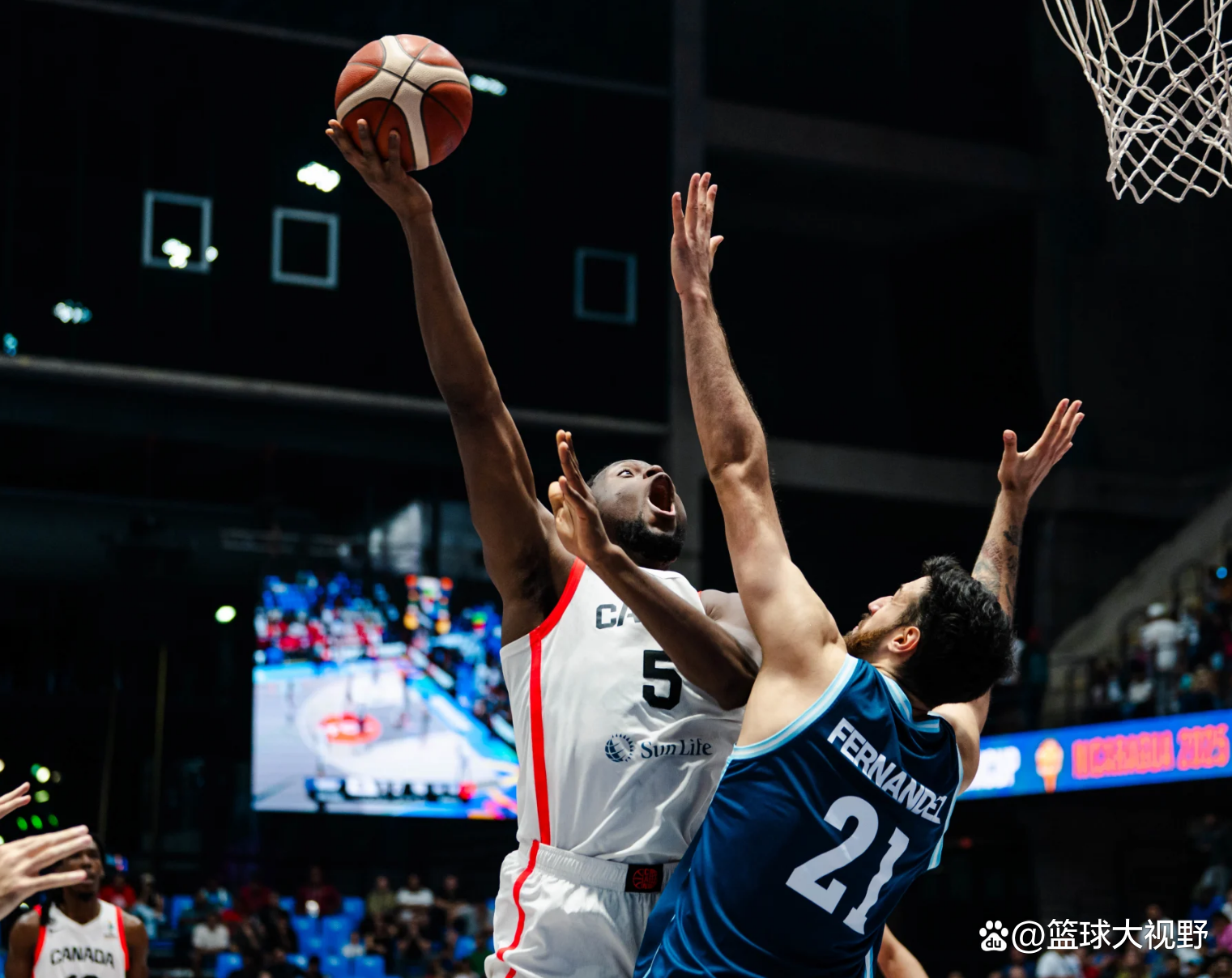 日本男篮血洗阿根廷男篮，巴图姆爆发神勇的简单介绍