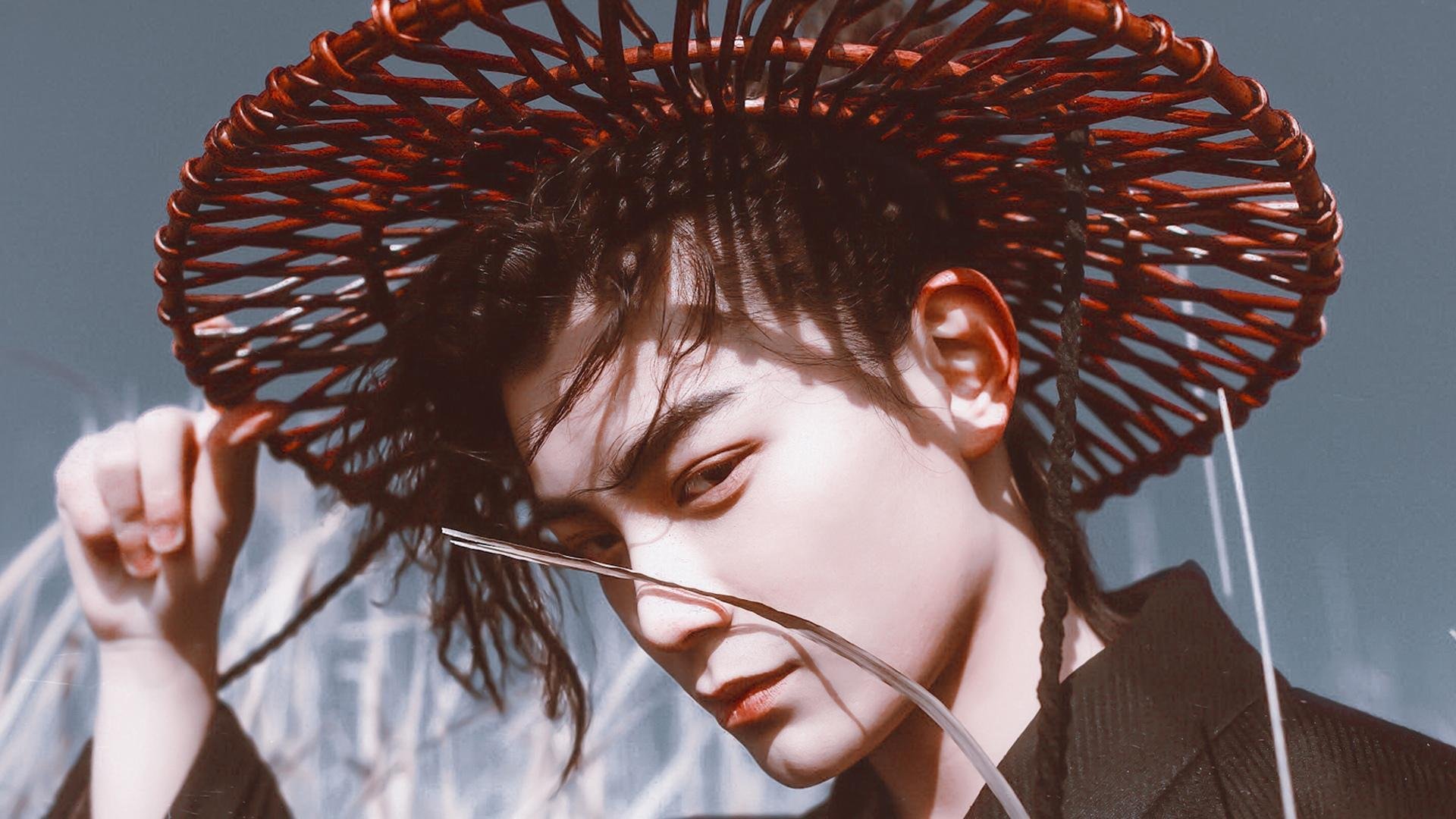 跨界狂澜，灰熊铁血启示录与武切维奇的国际赛场霸权