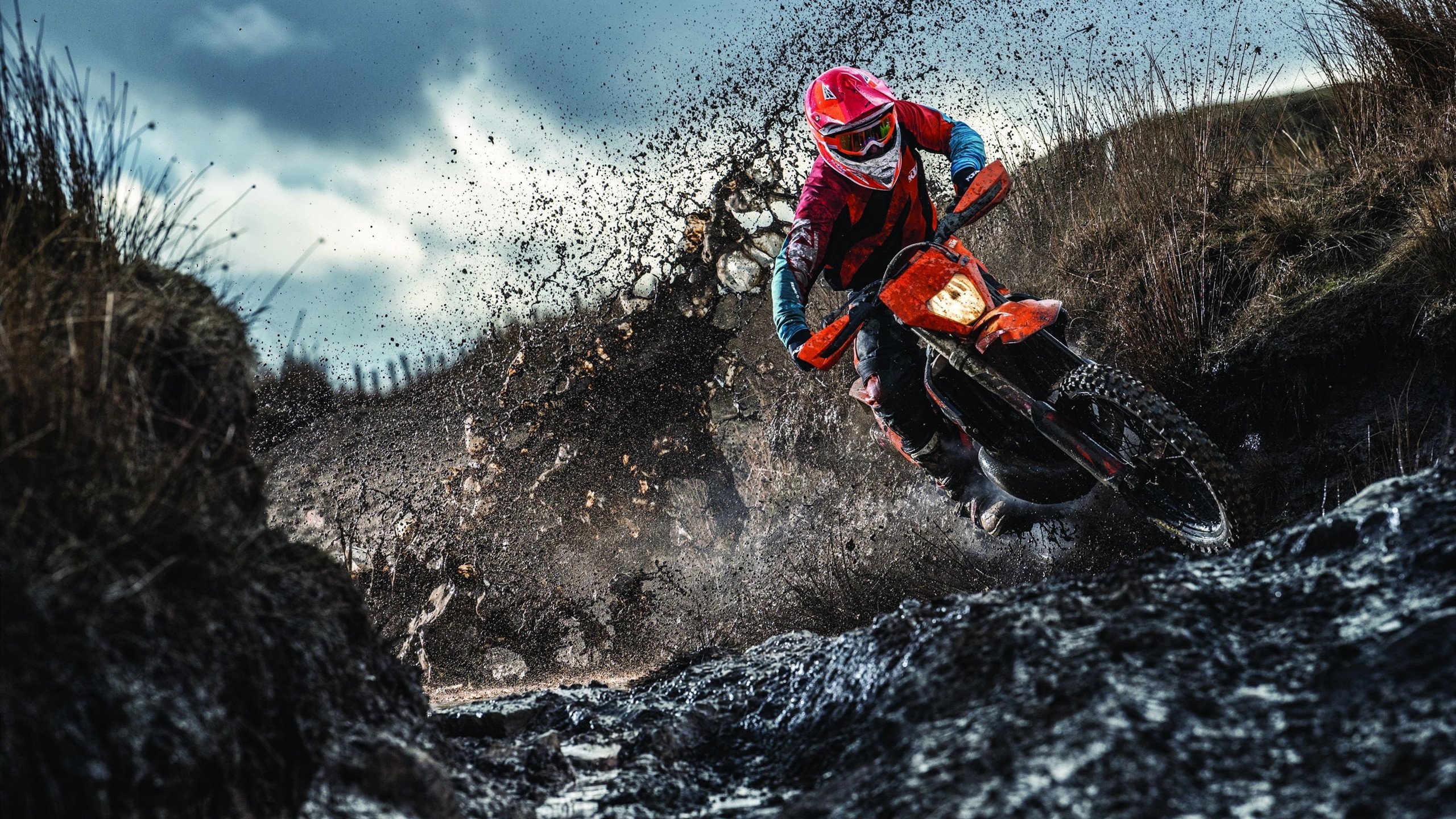 东决关键战之夜，小贾伦以铁壁防守锁定胜局